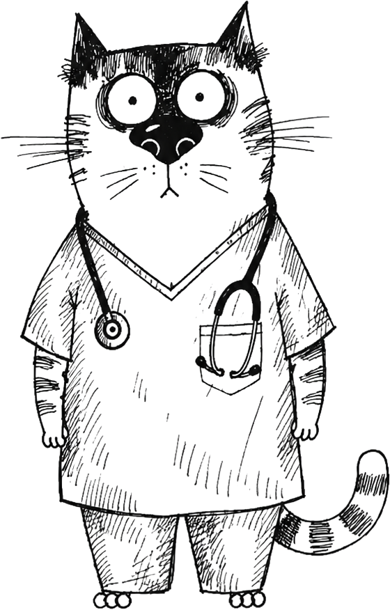 Hand-drawn cat illustration for to an amazing vet gift book