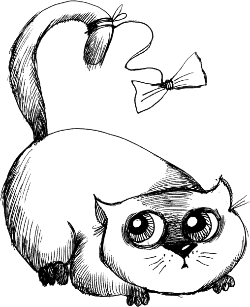 Hand-drawn cat illustration for to an amazing animal nursing assistant gift book